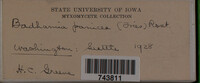 Image Associated With the Occurence